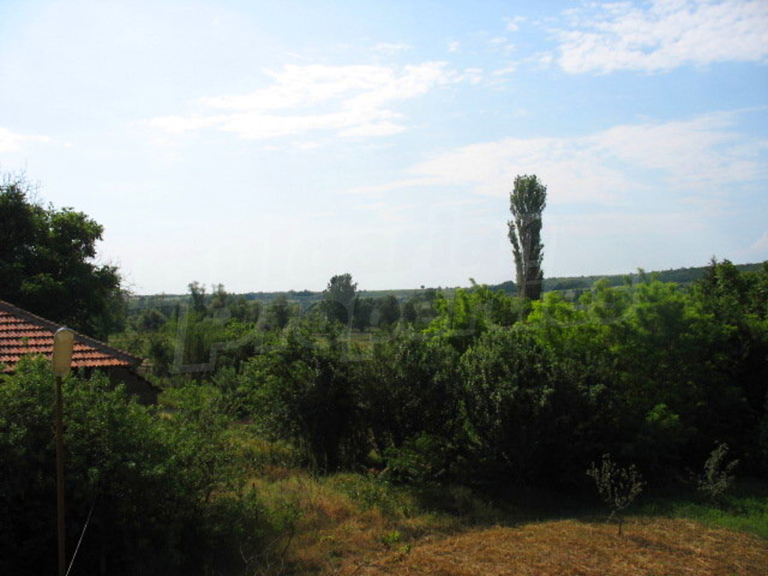 Gallery Picture 27