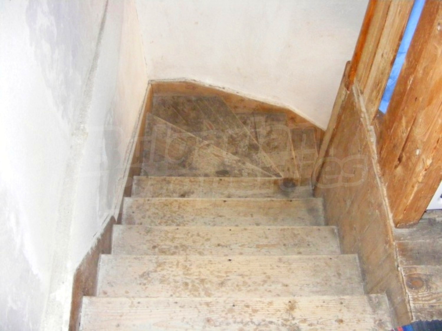 Gallery Picture 15