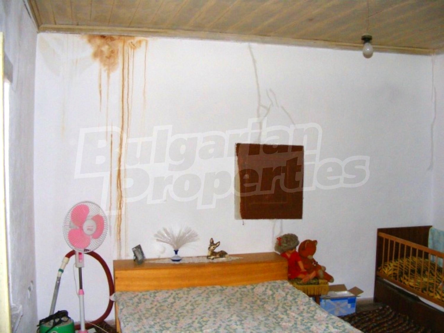 Gallery Picture 22