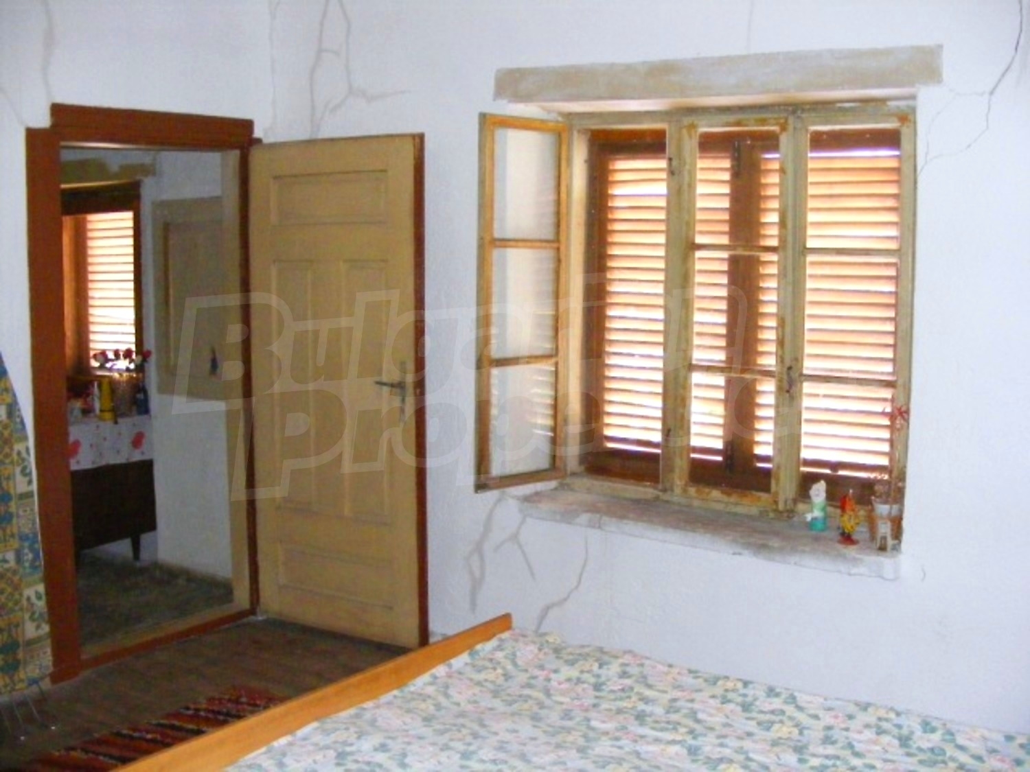 Gallery Picture 23
