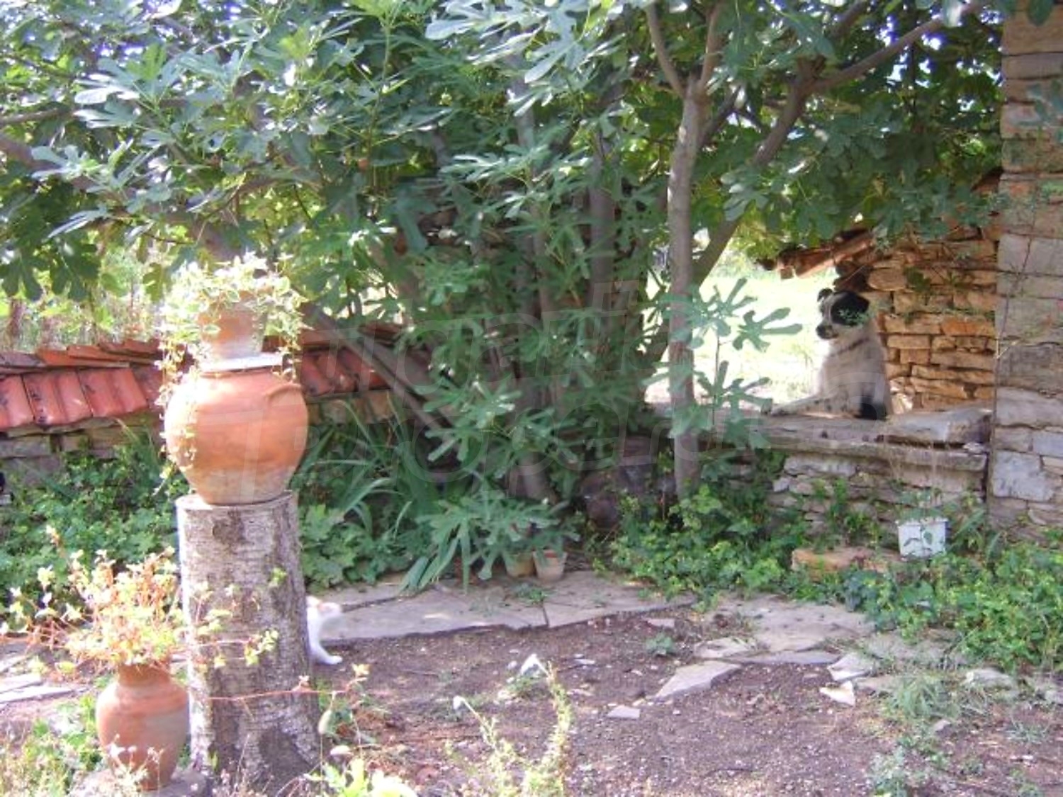 Gallery Picture 28