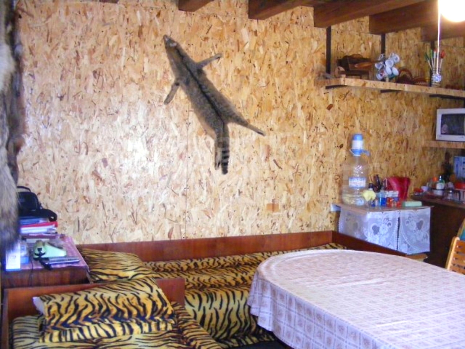 Gallery Picture 9