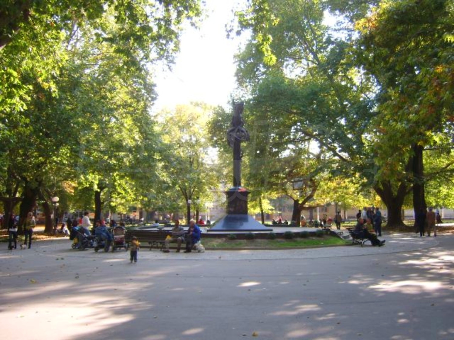 Gallery Picture 25