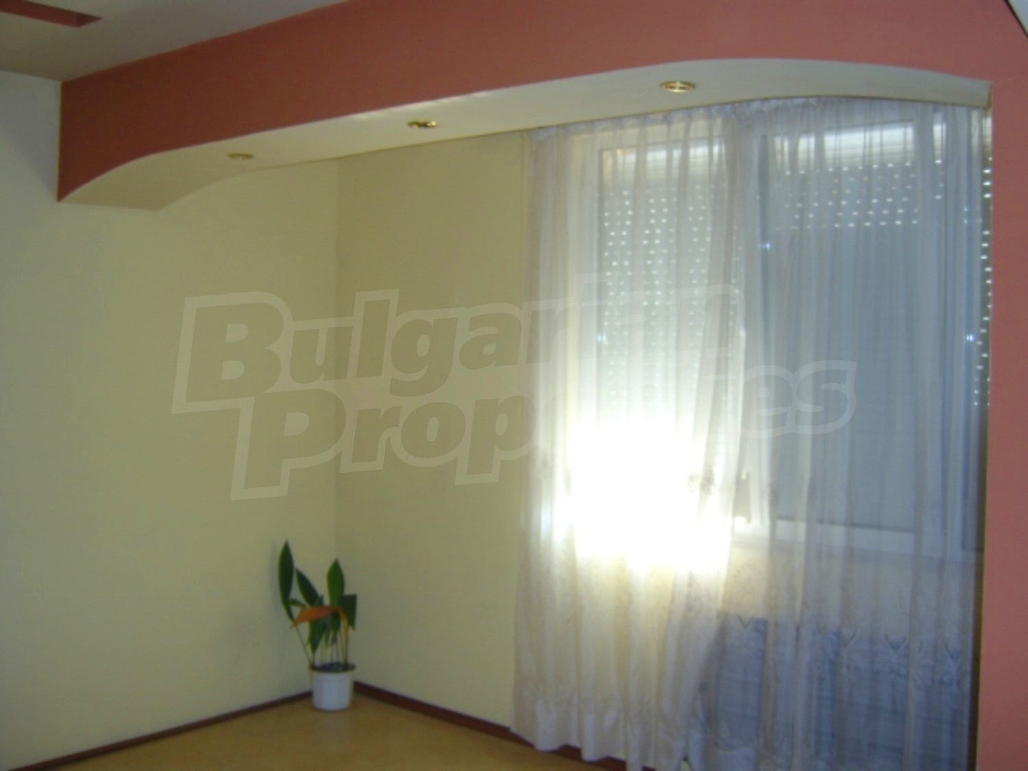 Gallery Picture 5