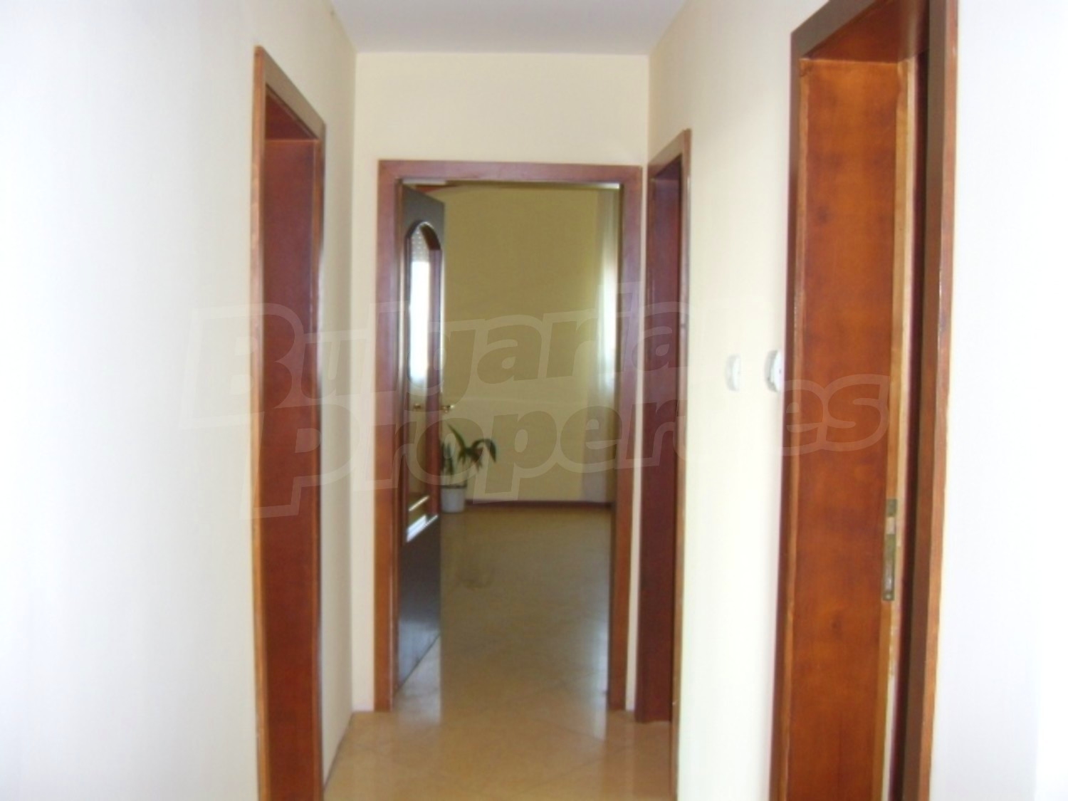 Gallery Picture 8