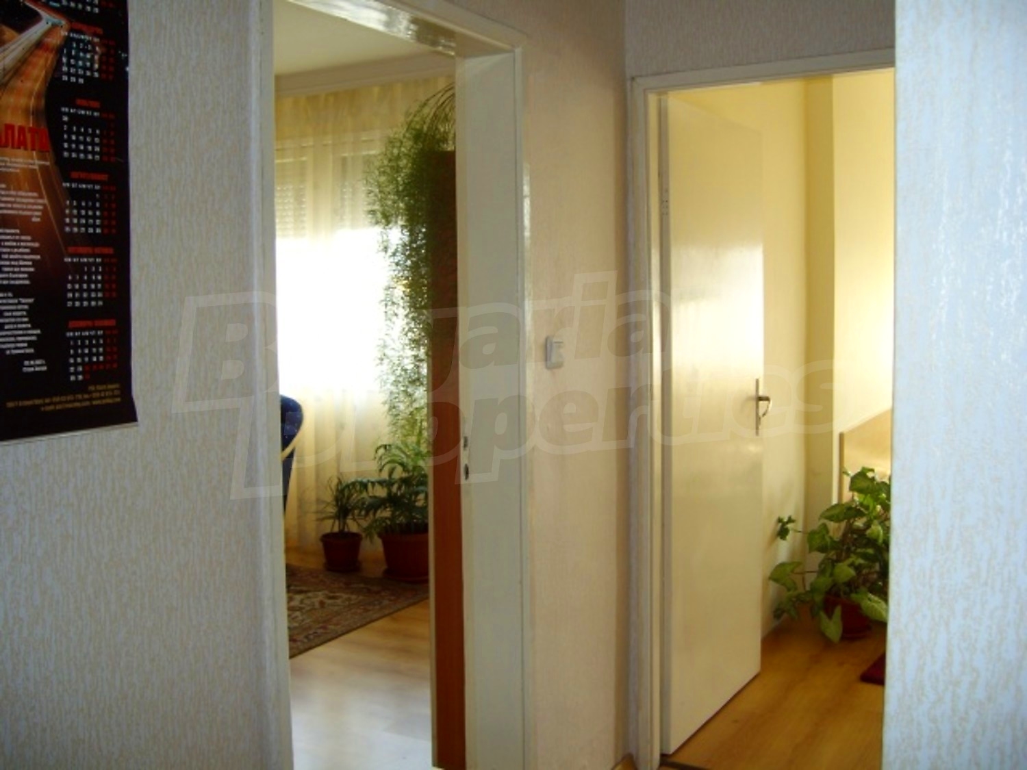 Gallery Picture 10
