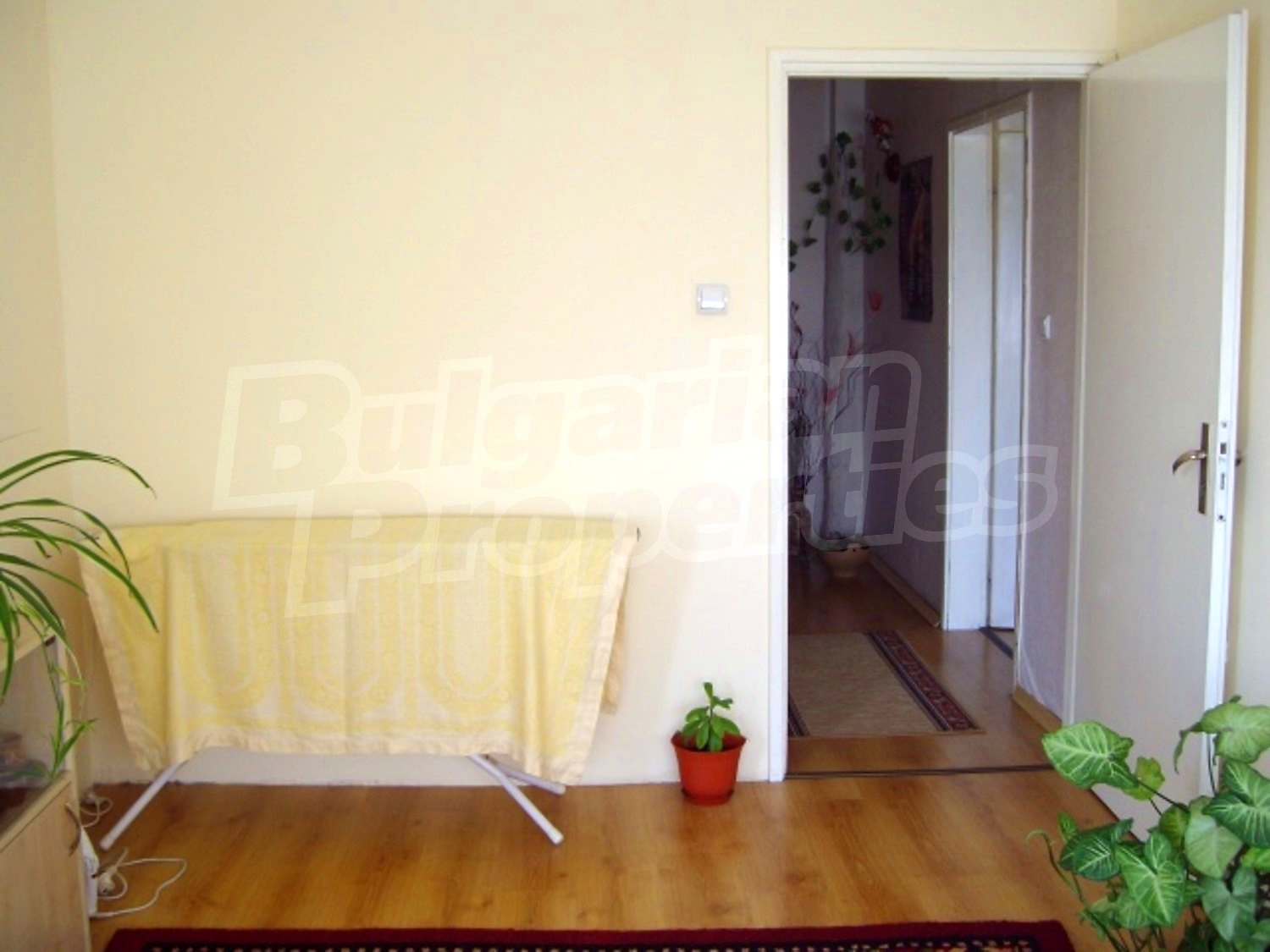 Gallery Picture 12