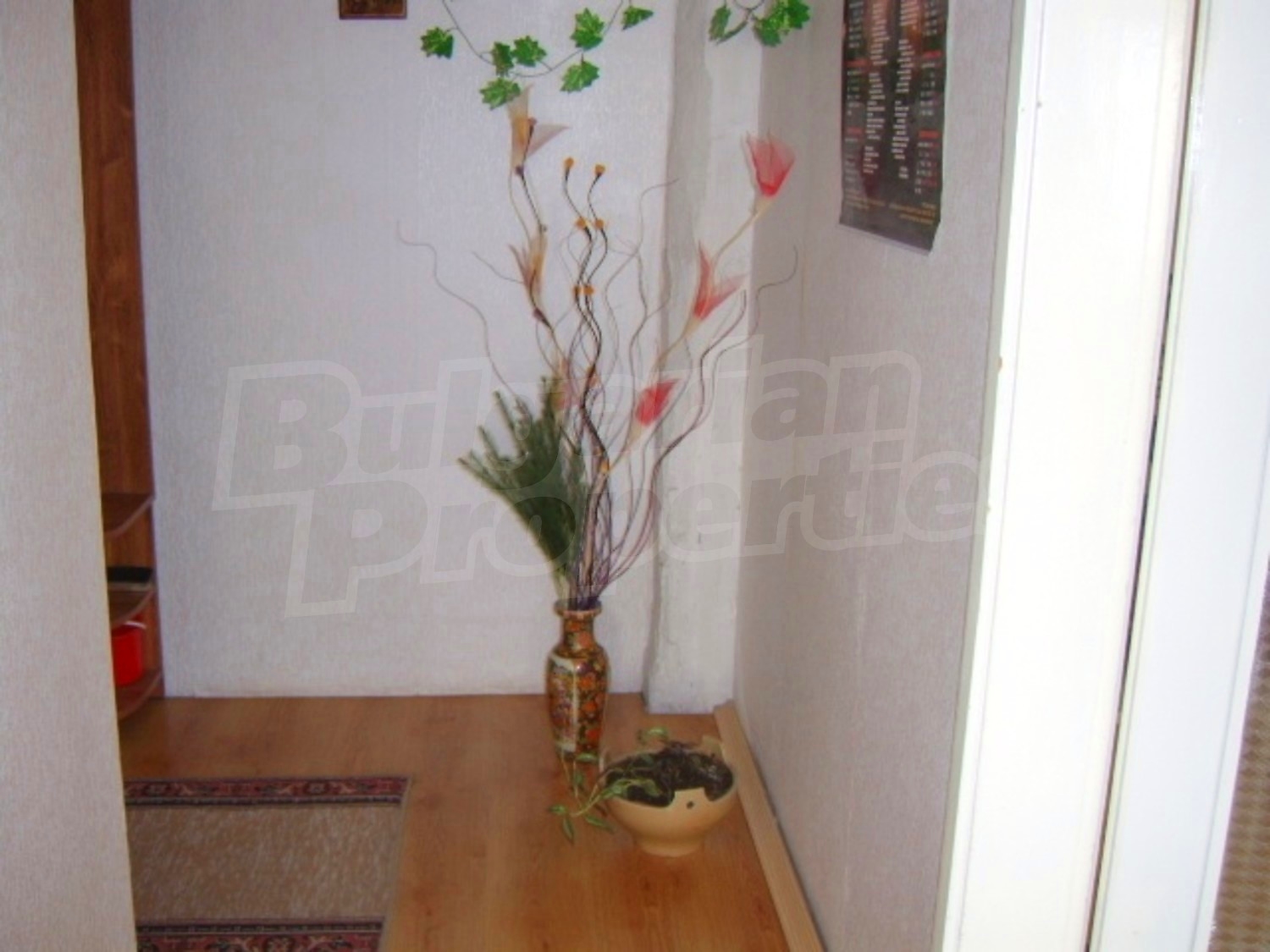 Gallery Picture 14