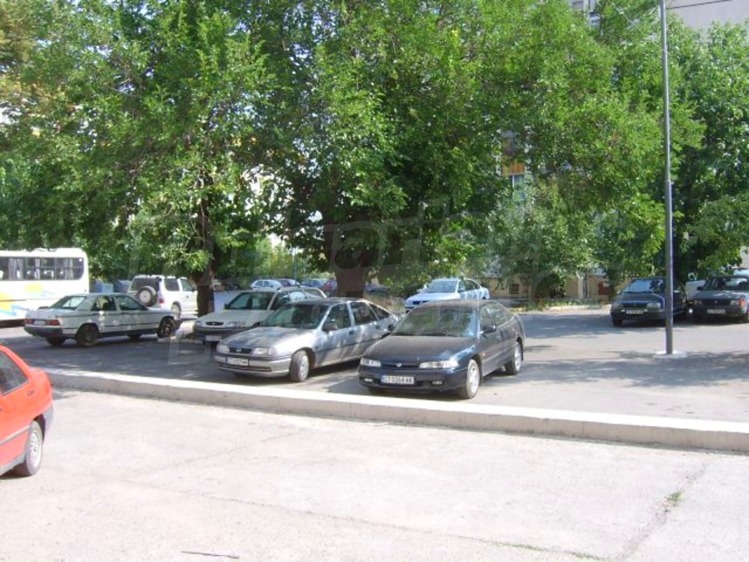 Gallery Picture 21