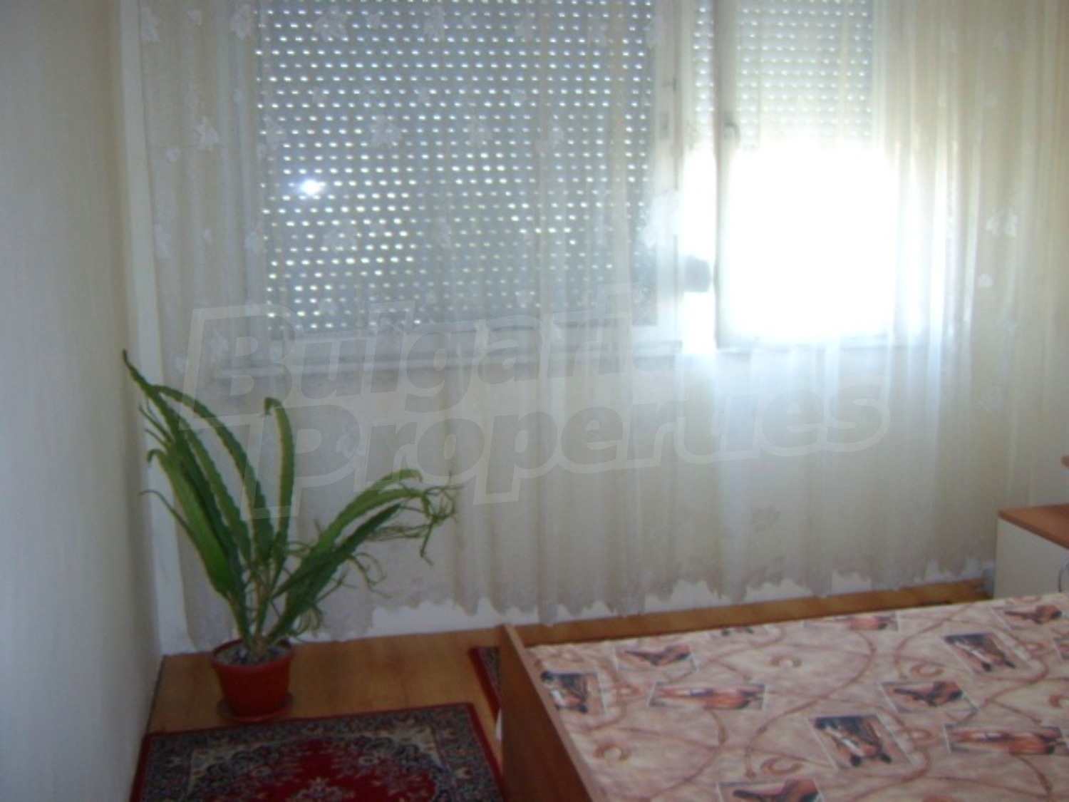 Gallery Picture 7