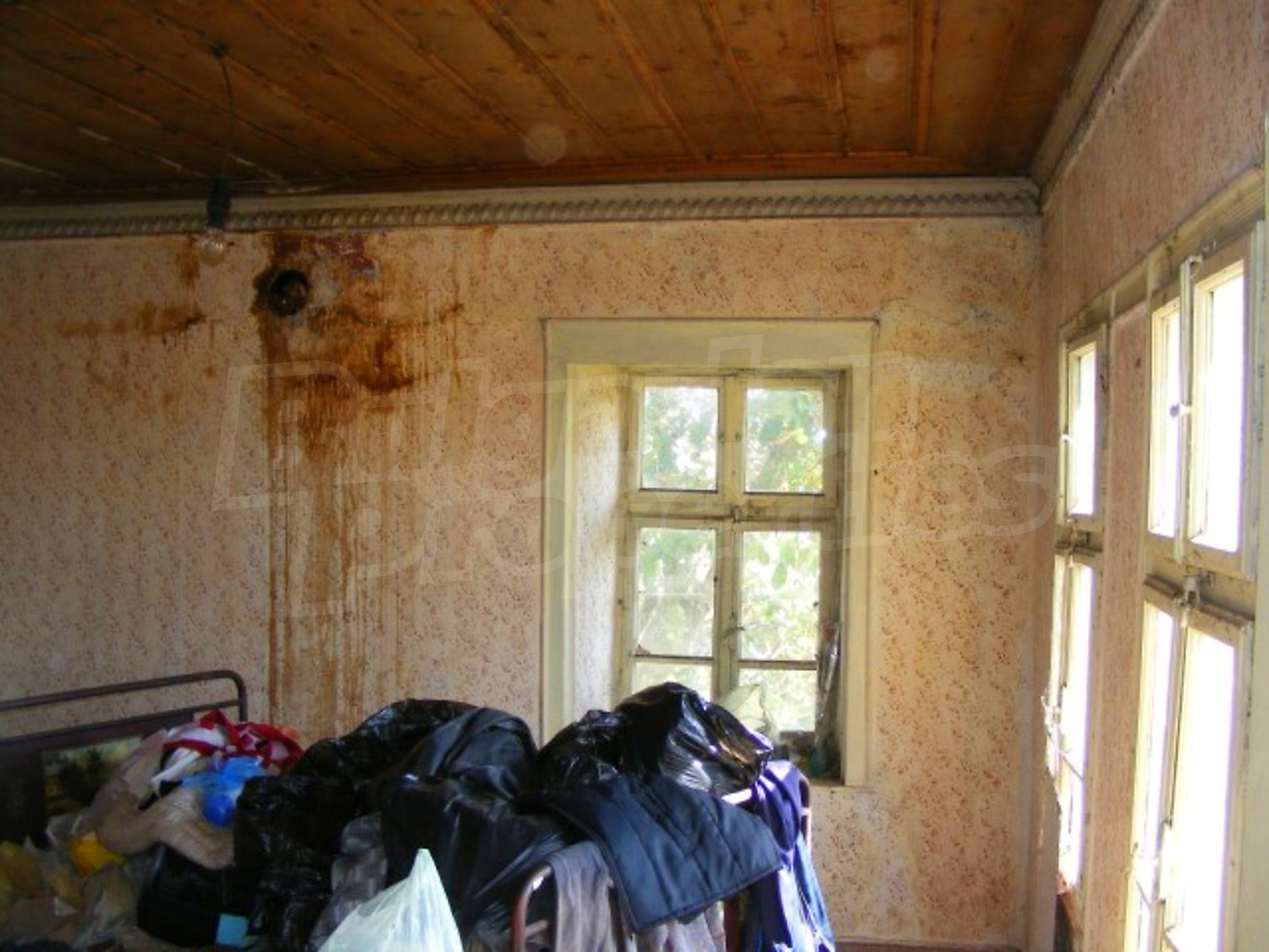 Gallery Picture 20