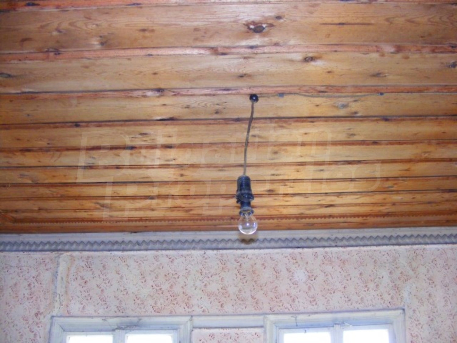 Gallery Picture 21