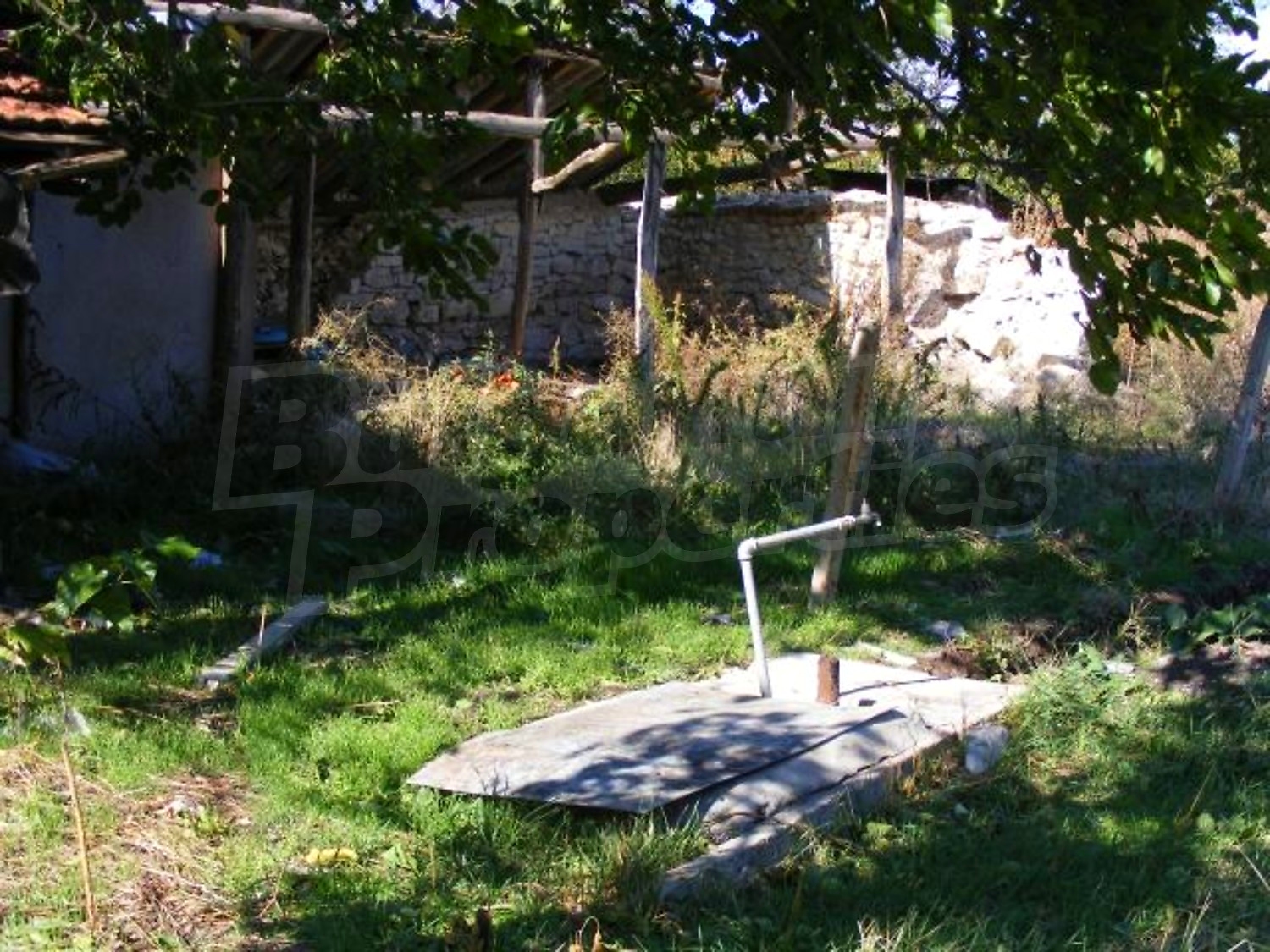 Gallery Picture 25