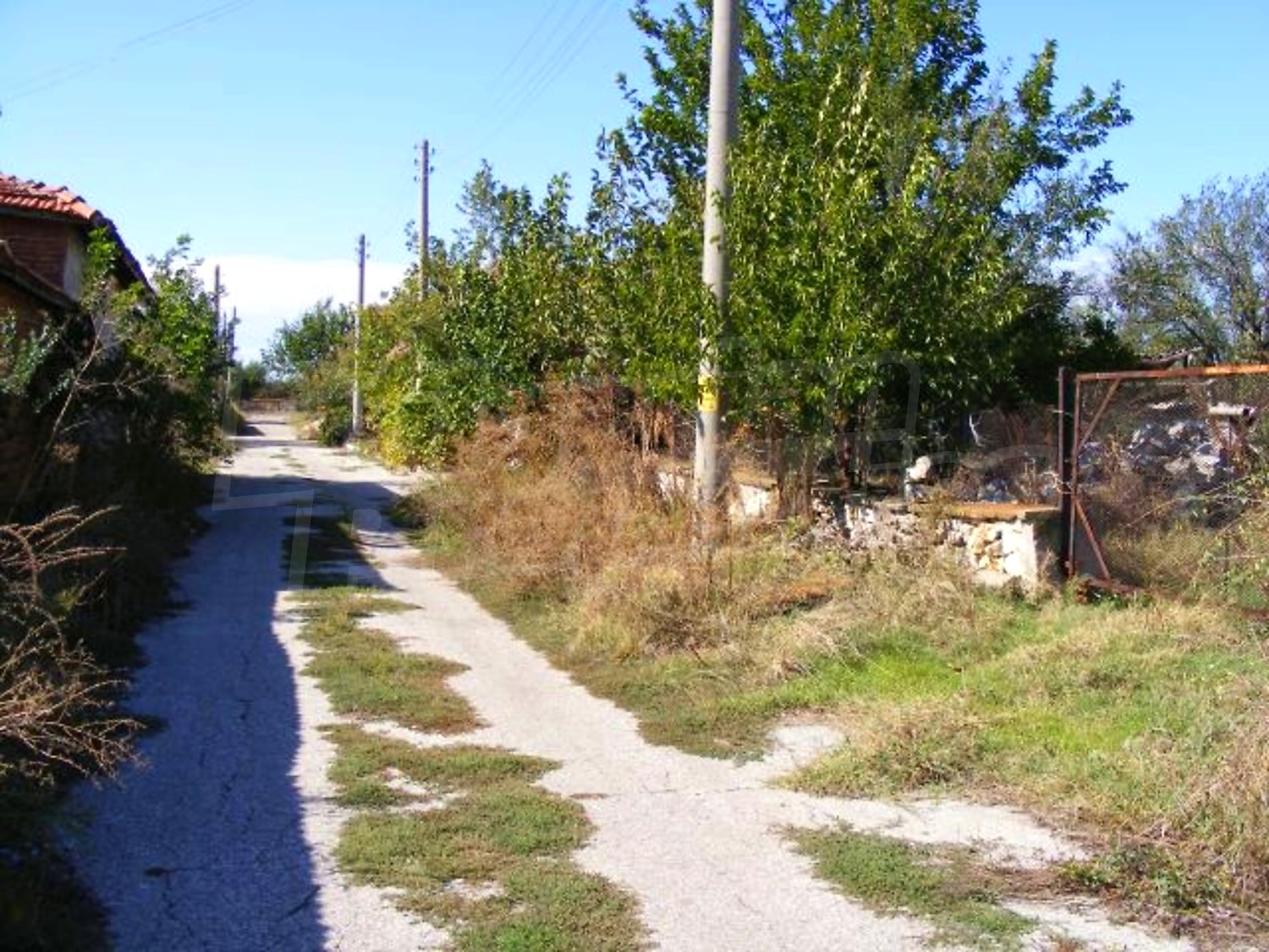 Gallery Picture 28