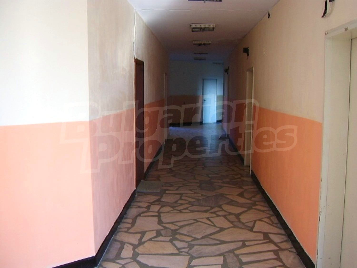 Gallery Picture 19