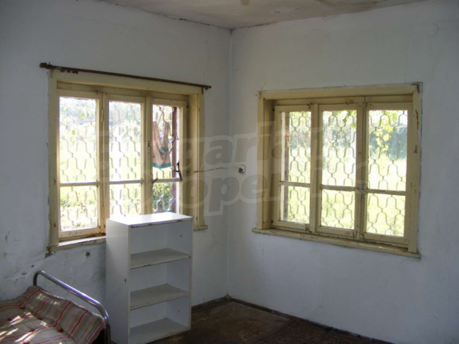 Gallery Picture 10