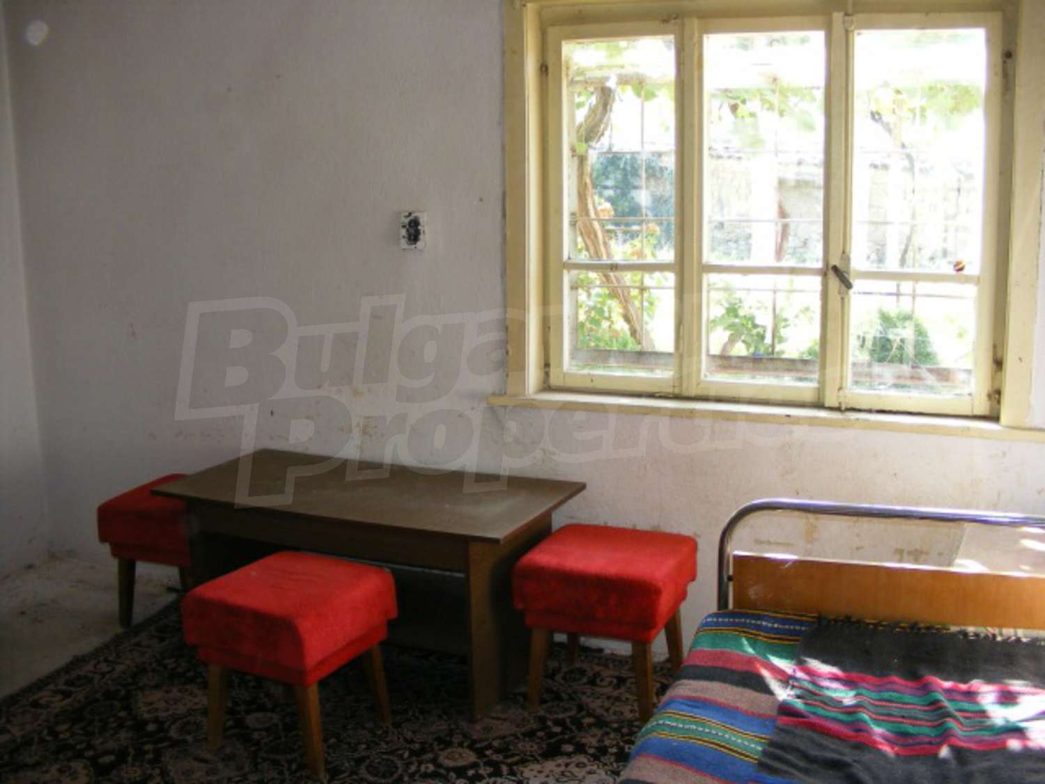 Gallery Picture 13