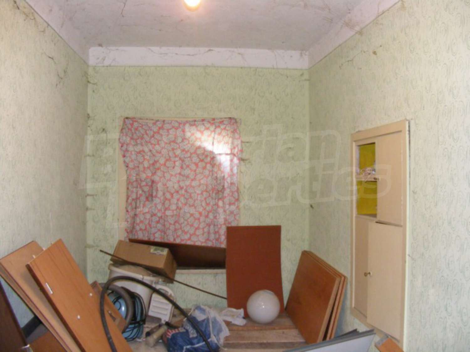 Gallery Picture 17