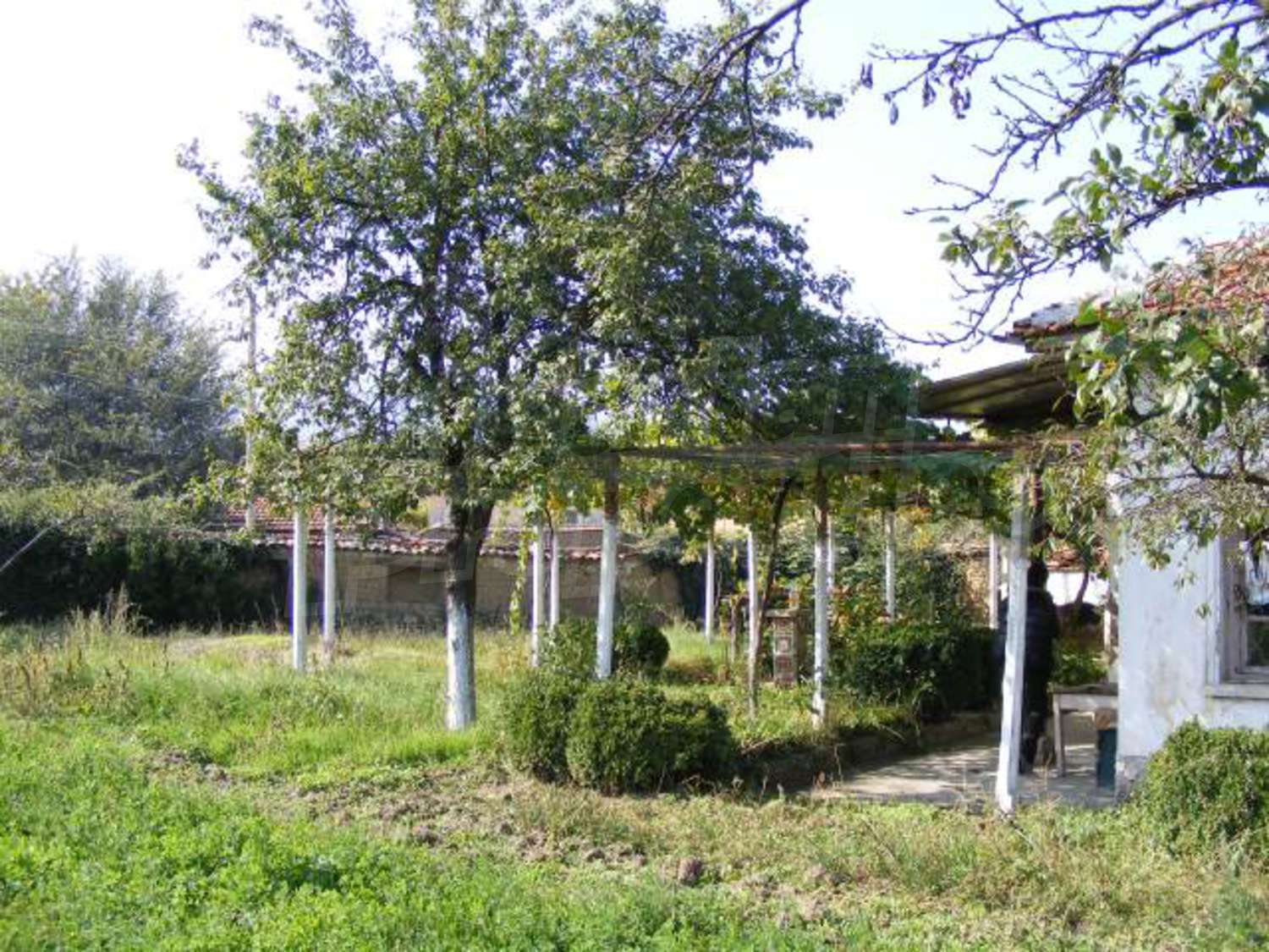 Gallery Picture 20