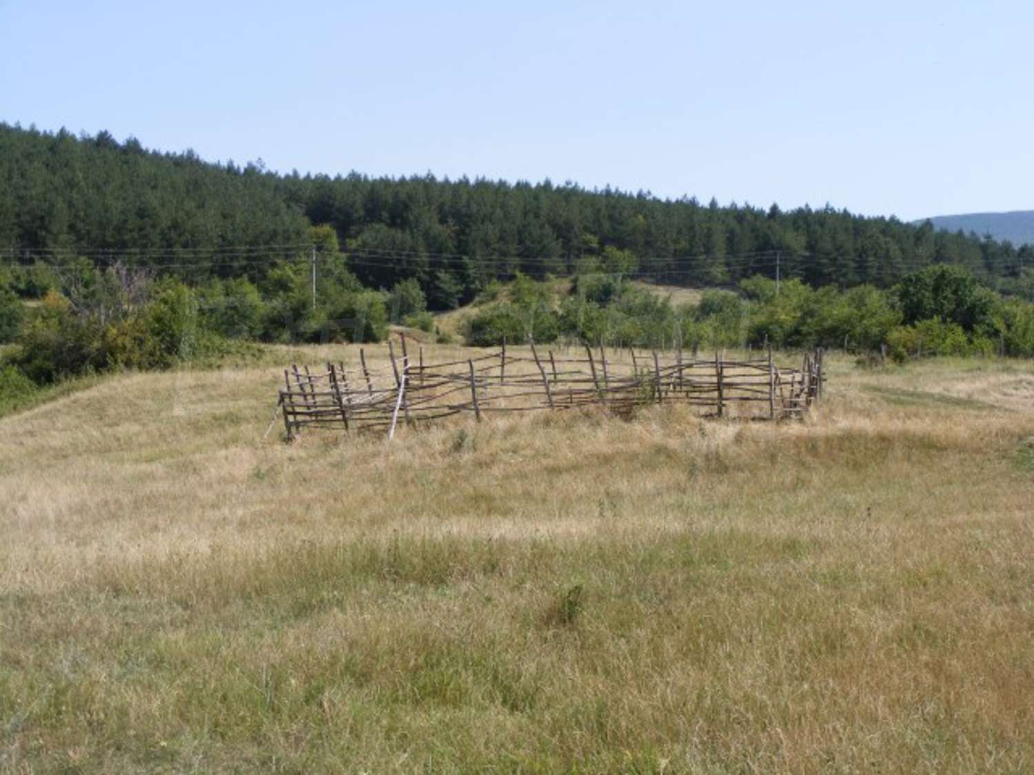 Gallery Picture 31