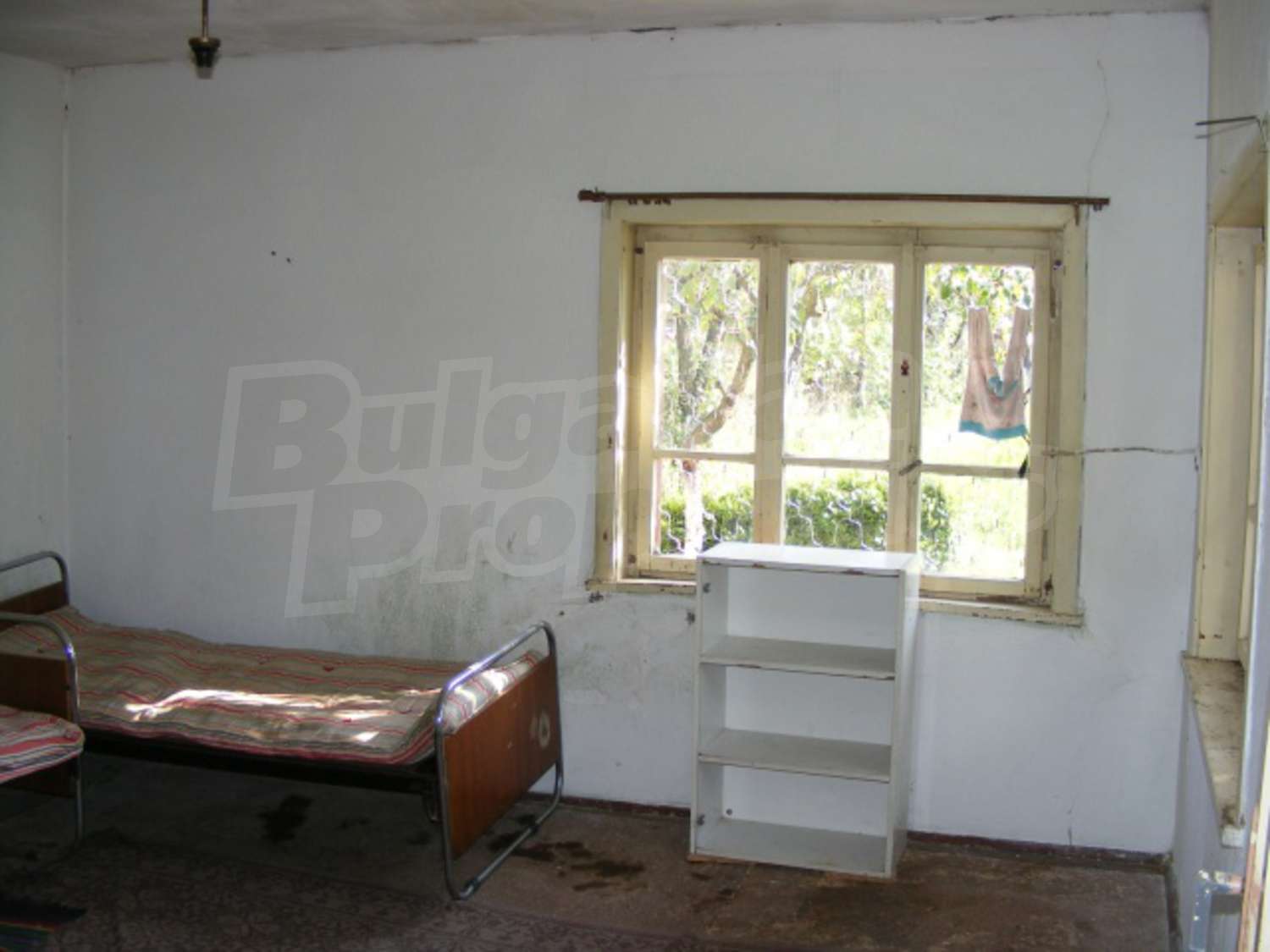 Gallery Picture 8
