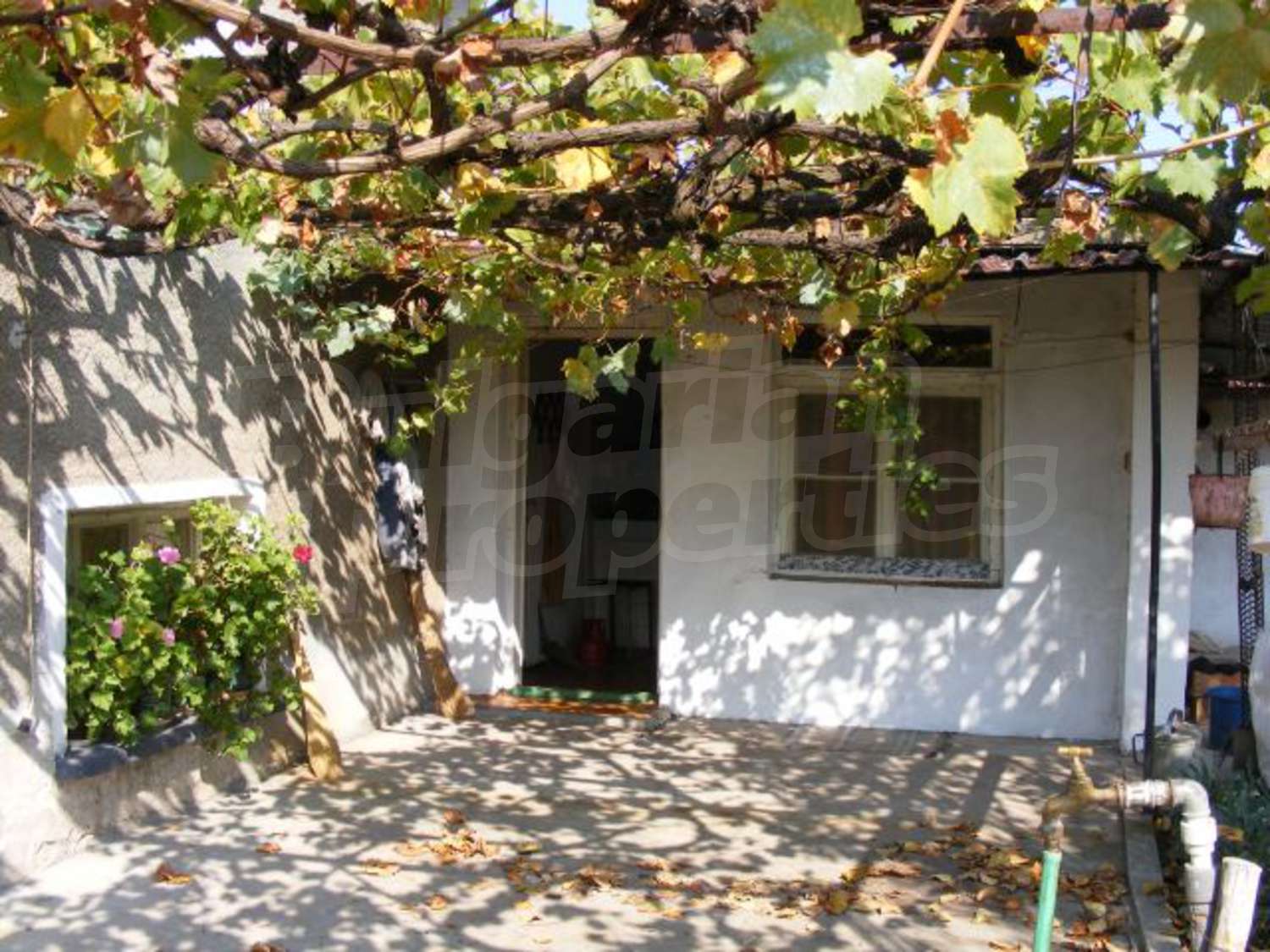 Gallery Picture 16