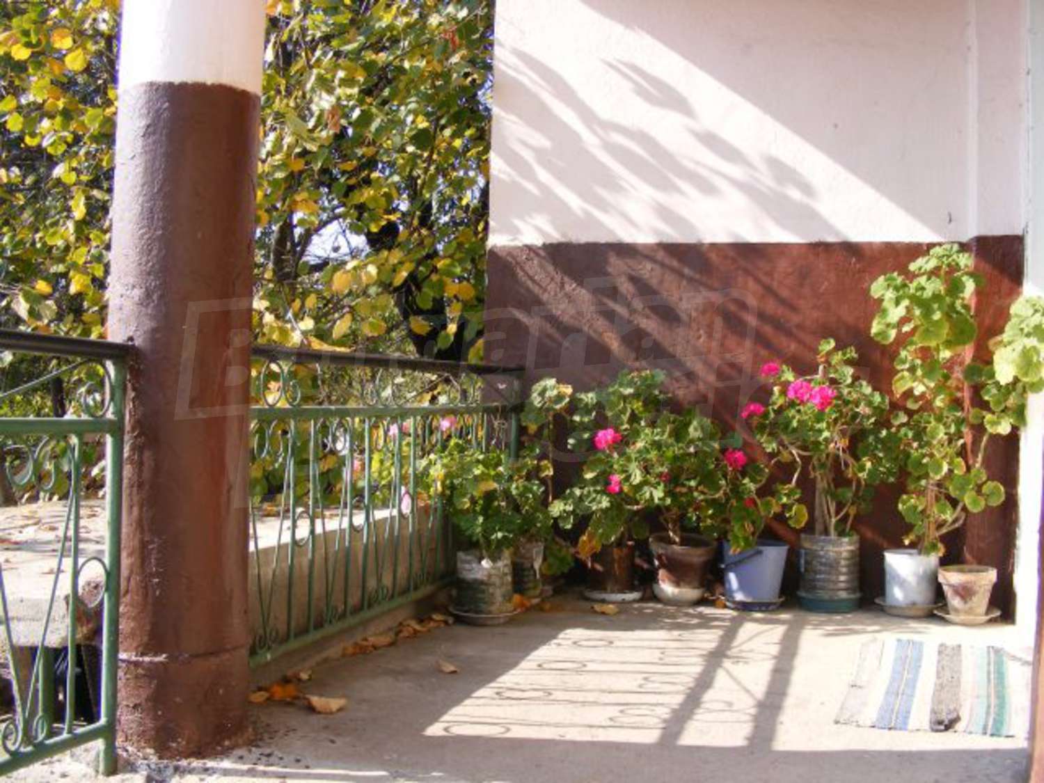 Gallery Picture 18