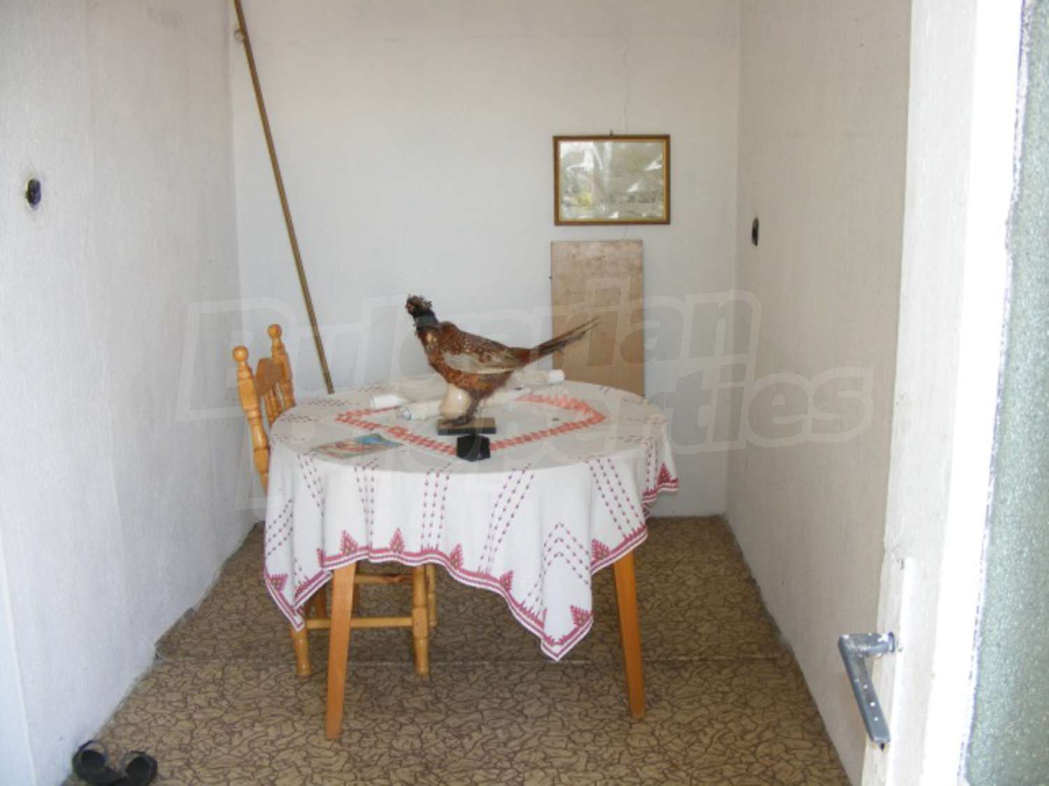 Gallery Picture 19