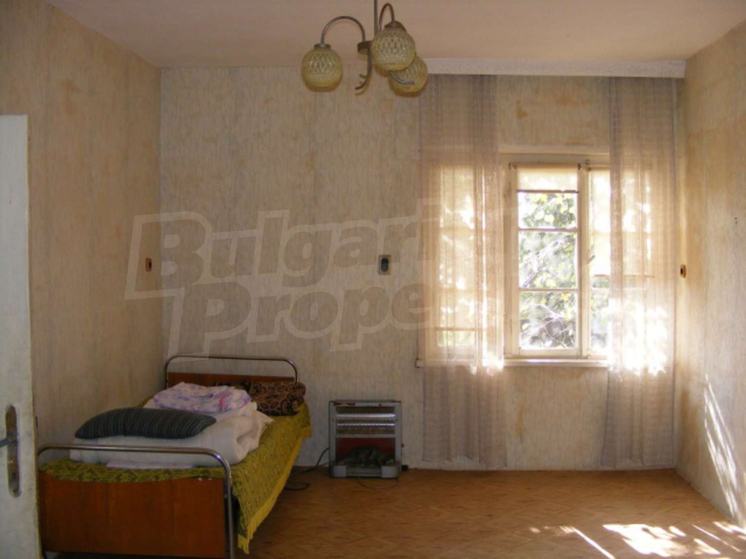 Gallery Picture 24