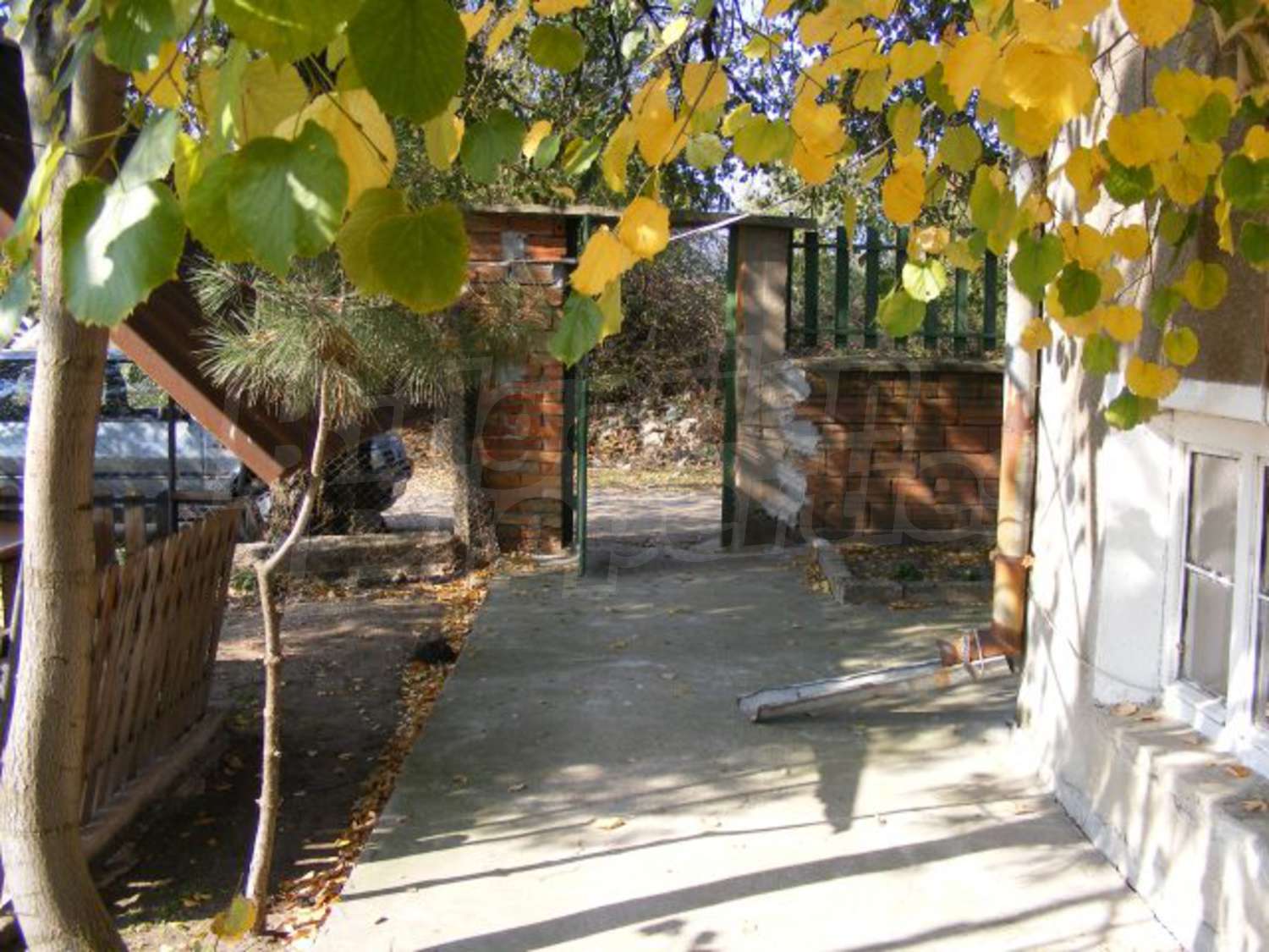 Gallery Picture 30