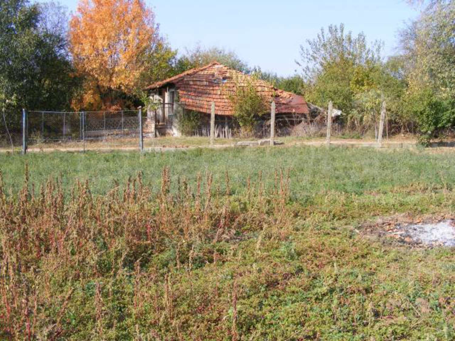 Gallery Picture 36