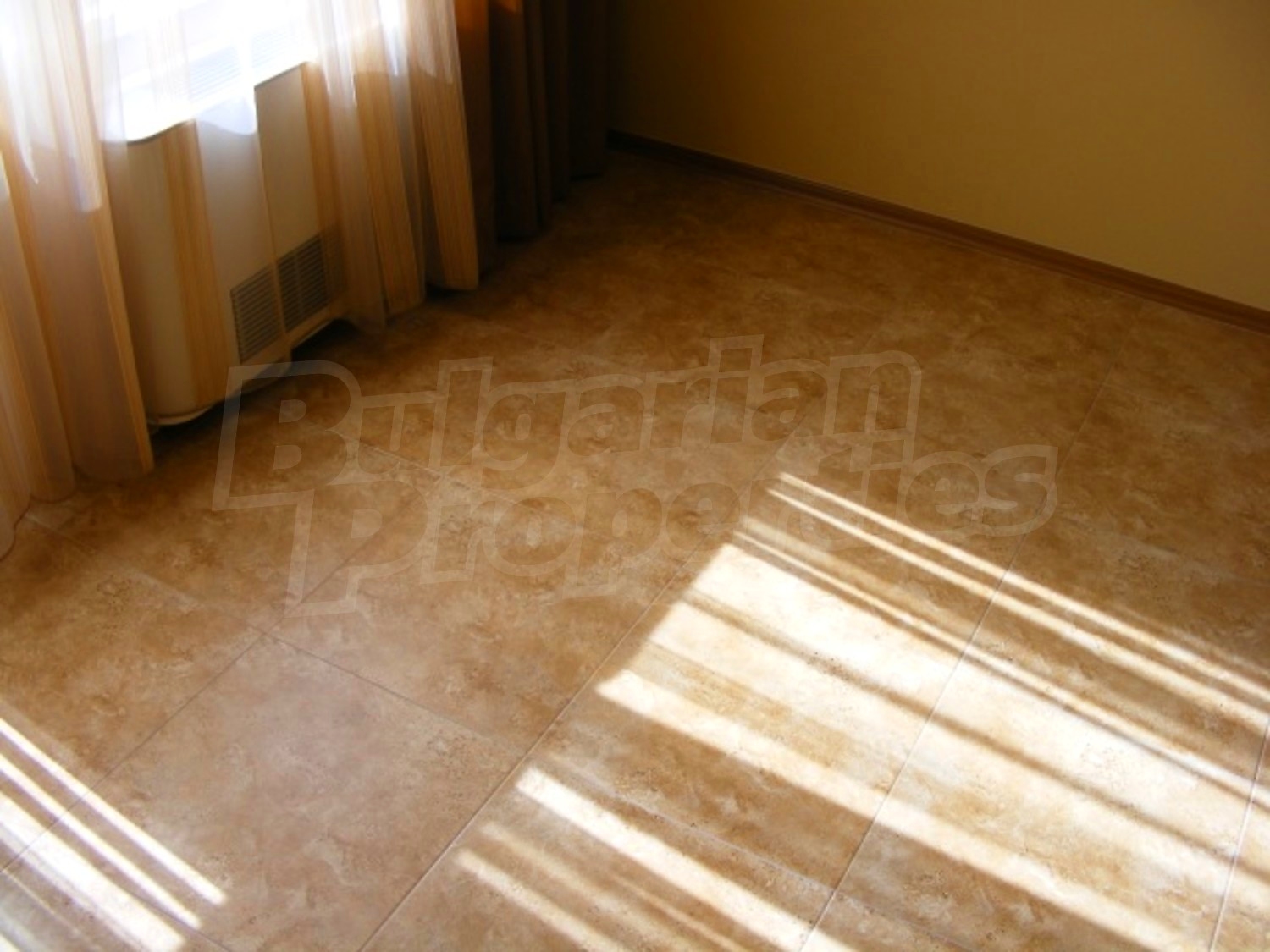 Gallery Picture 12