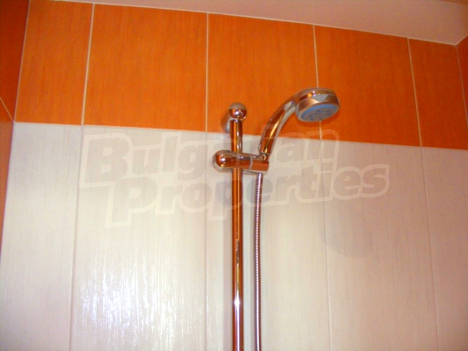 Gallery Picture 25