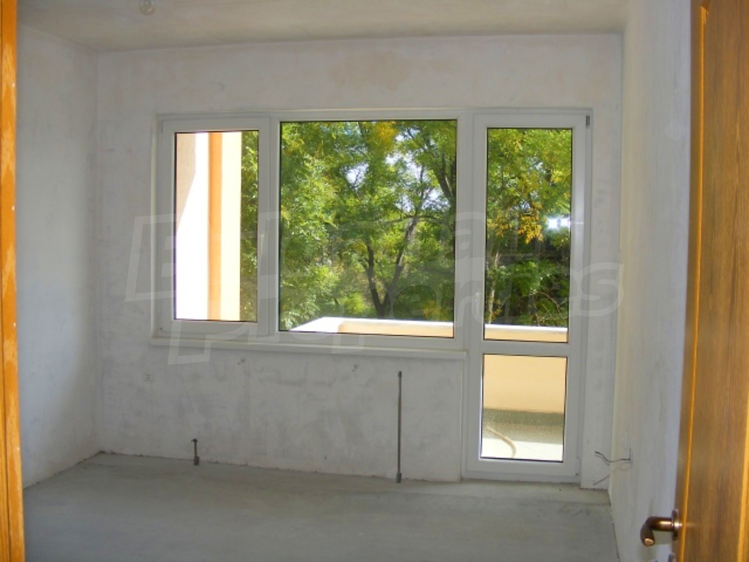 Gallery Picture 17