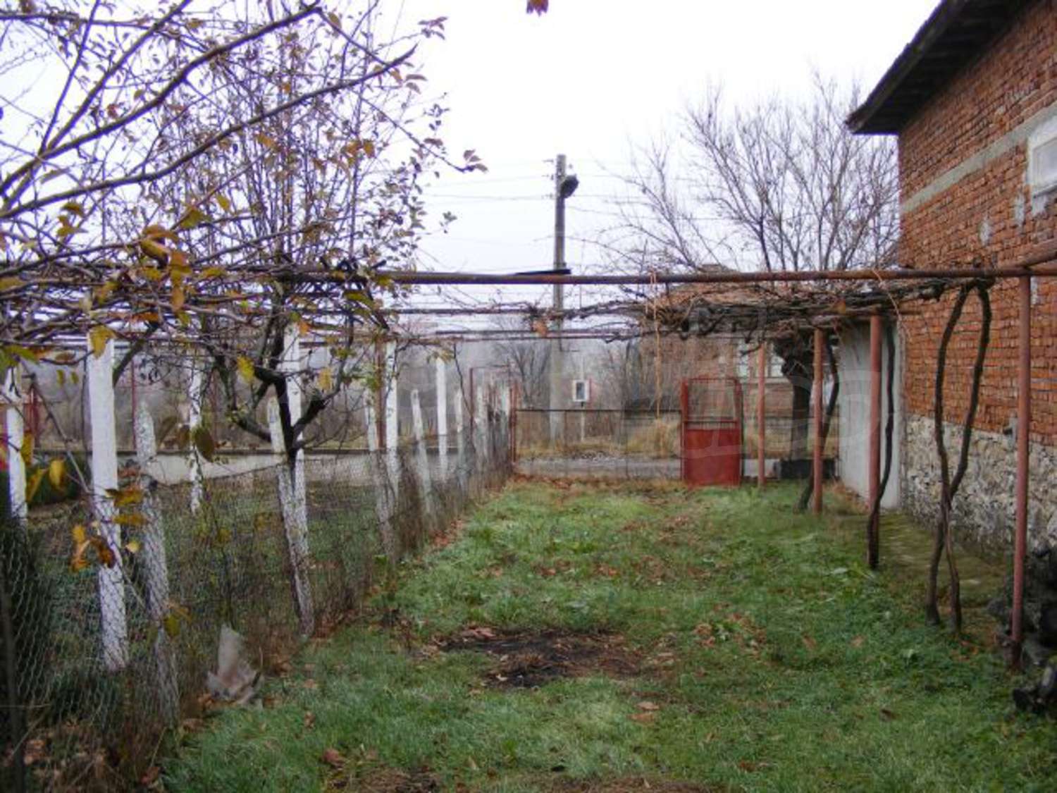 Gallery Picture 36