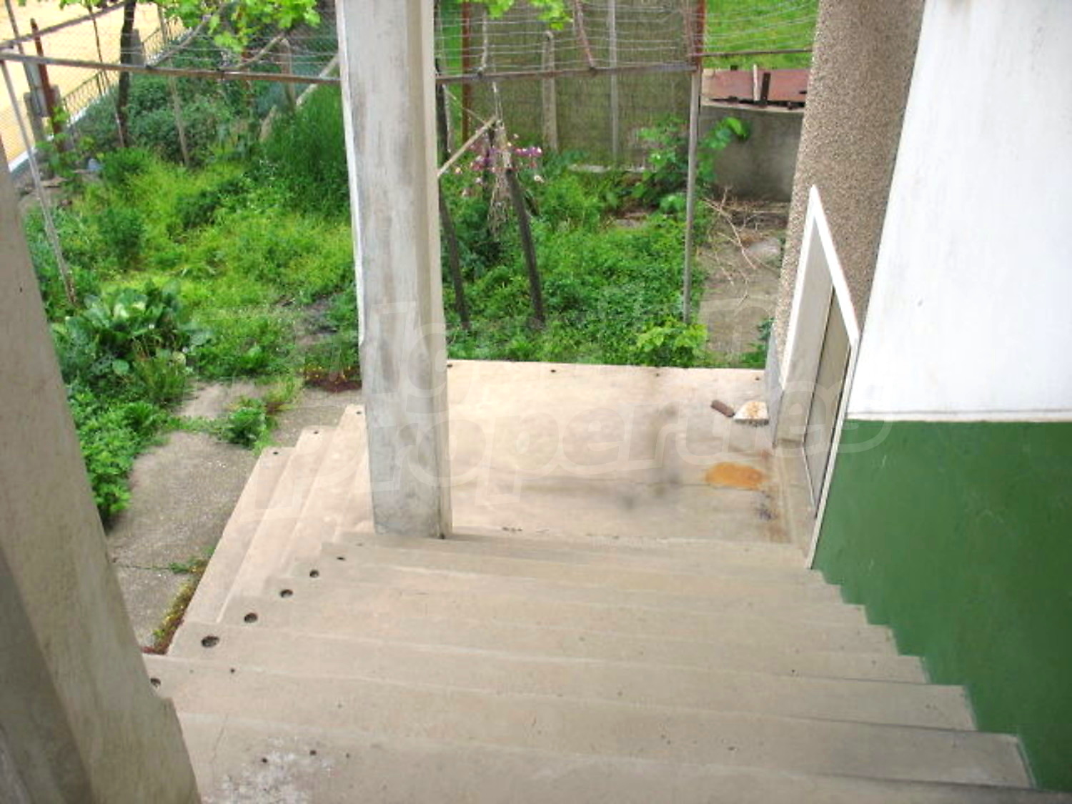 Gallery Picture 10
