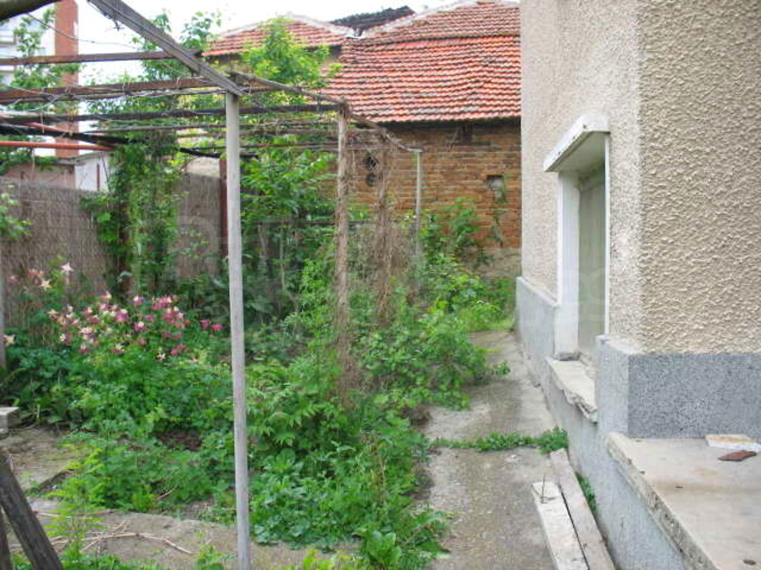 Gallery Picture 16