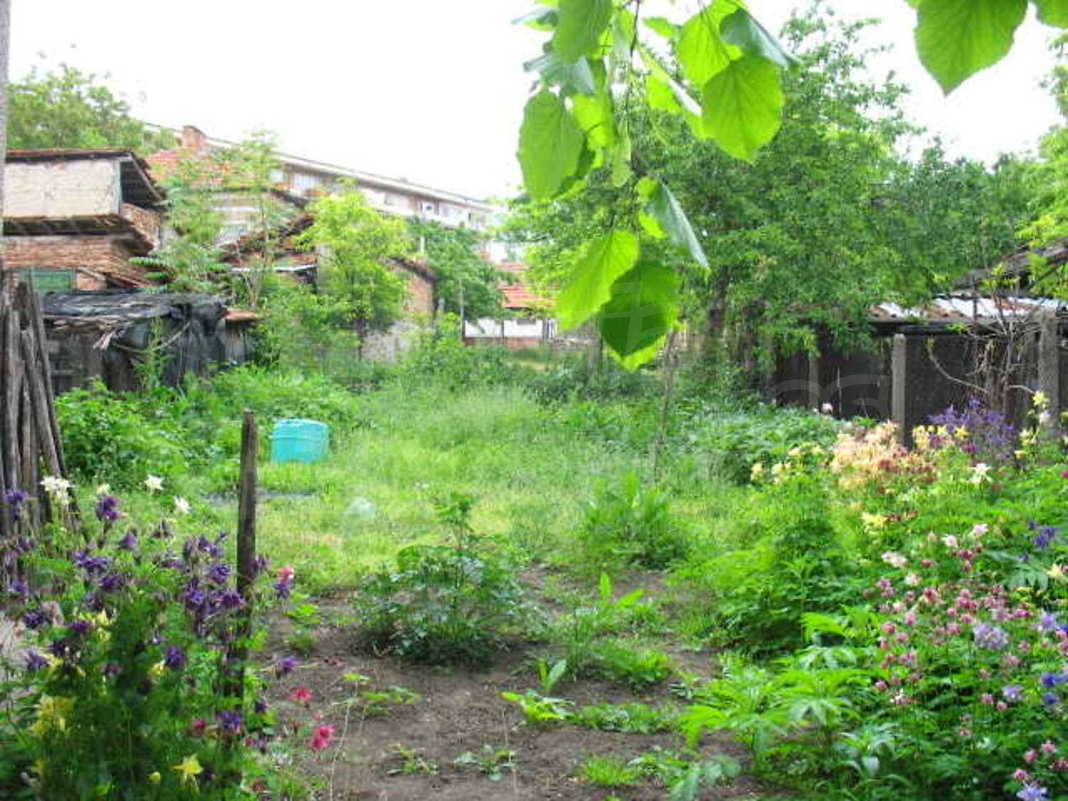 Gallery Picture 17
