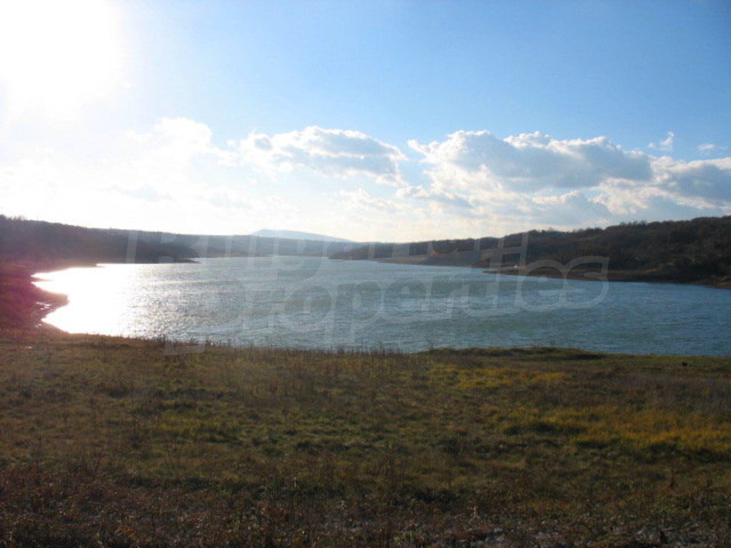 Gallery Picture 19