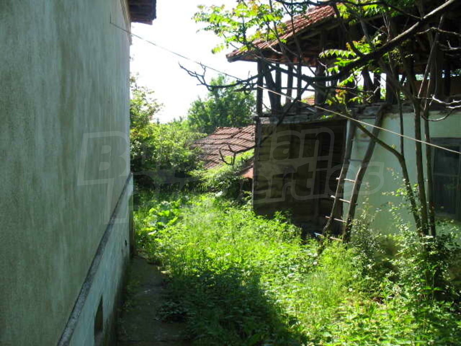 Gallery Picture 10