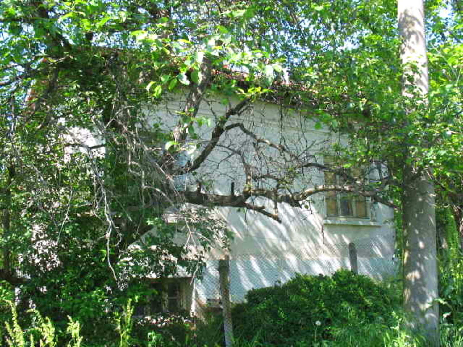 Gallery Picture 11