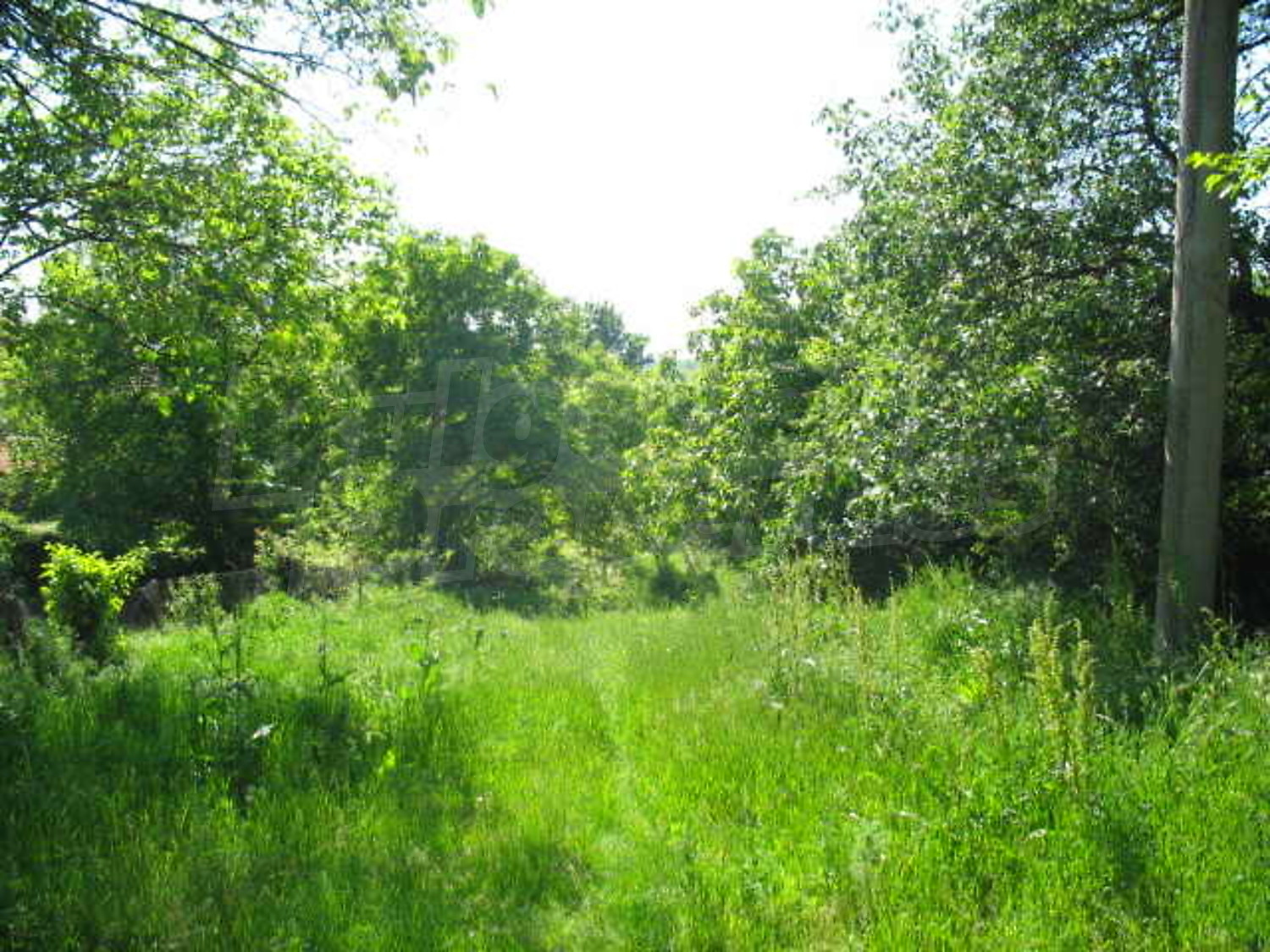 Gallery Picture 12