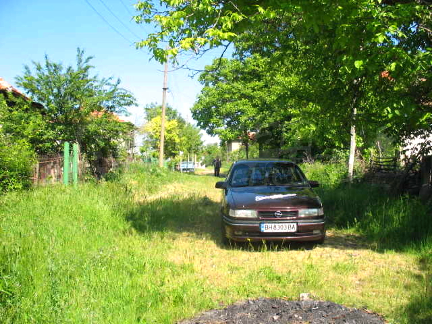 Gallery Picture 13
