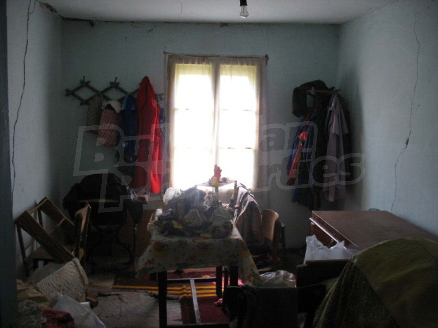 Gallery Picture 7