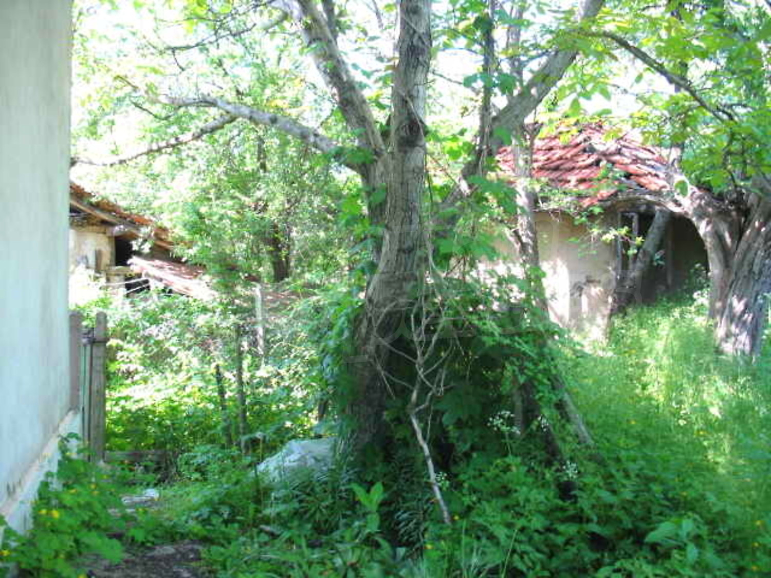 Gallery Picture 8
