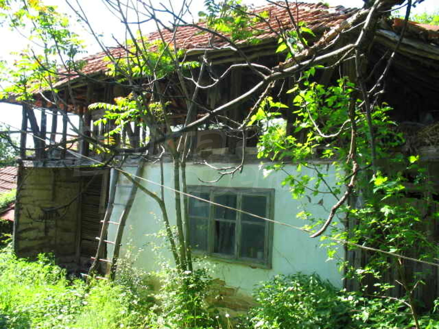 Gallery Picture 9