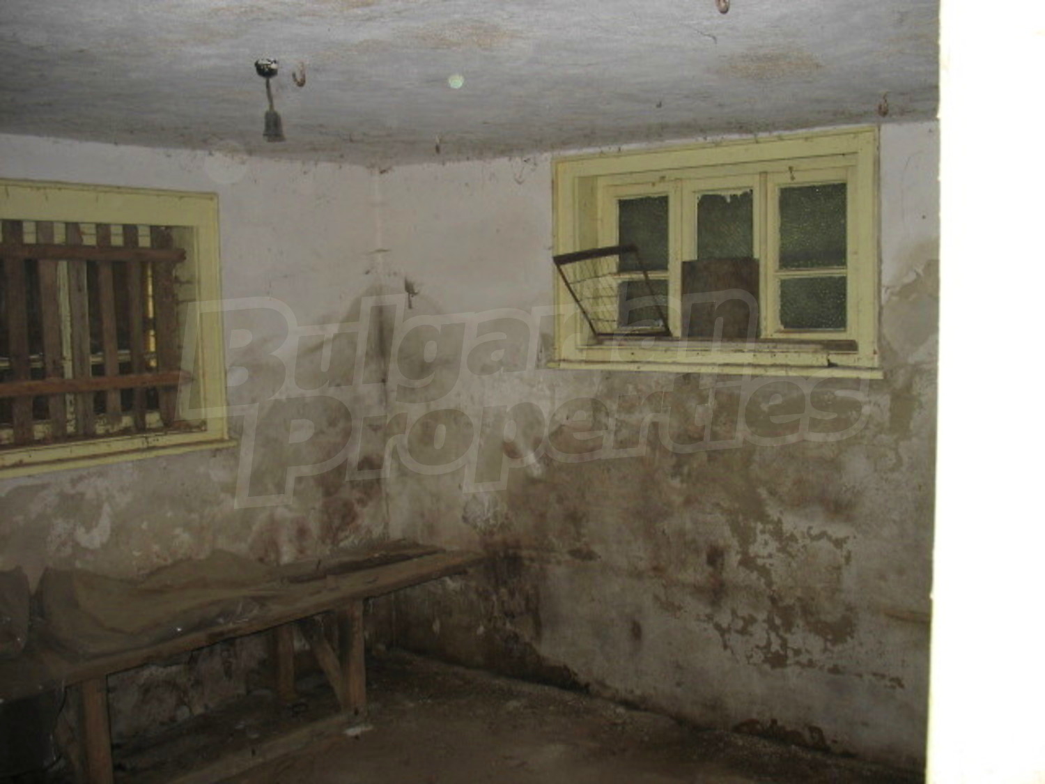Gallery Picture 10