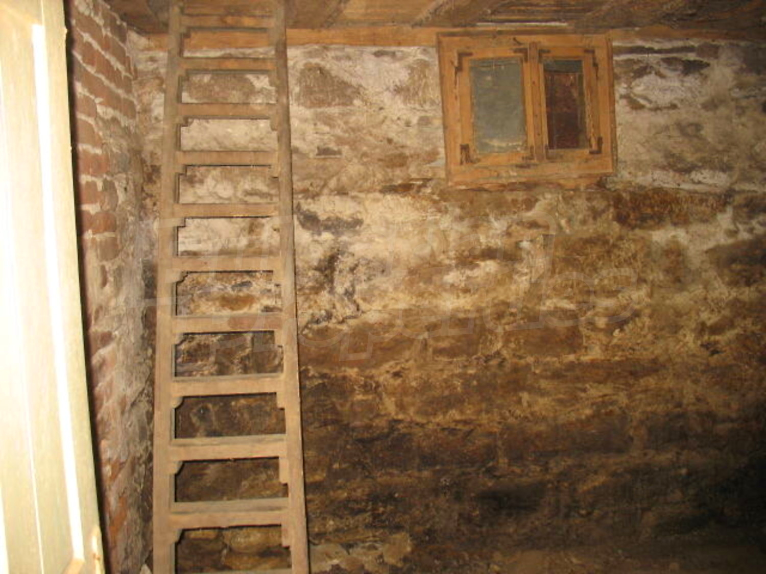 Gallery Picture 11