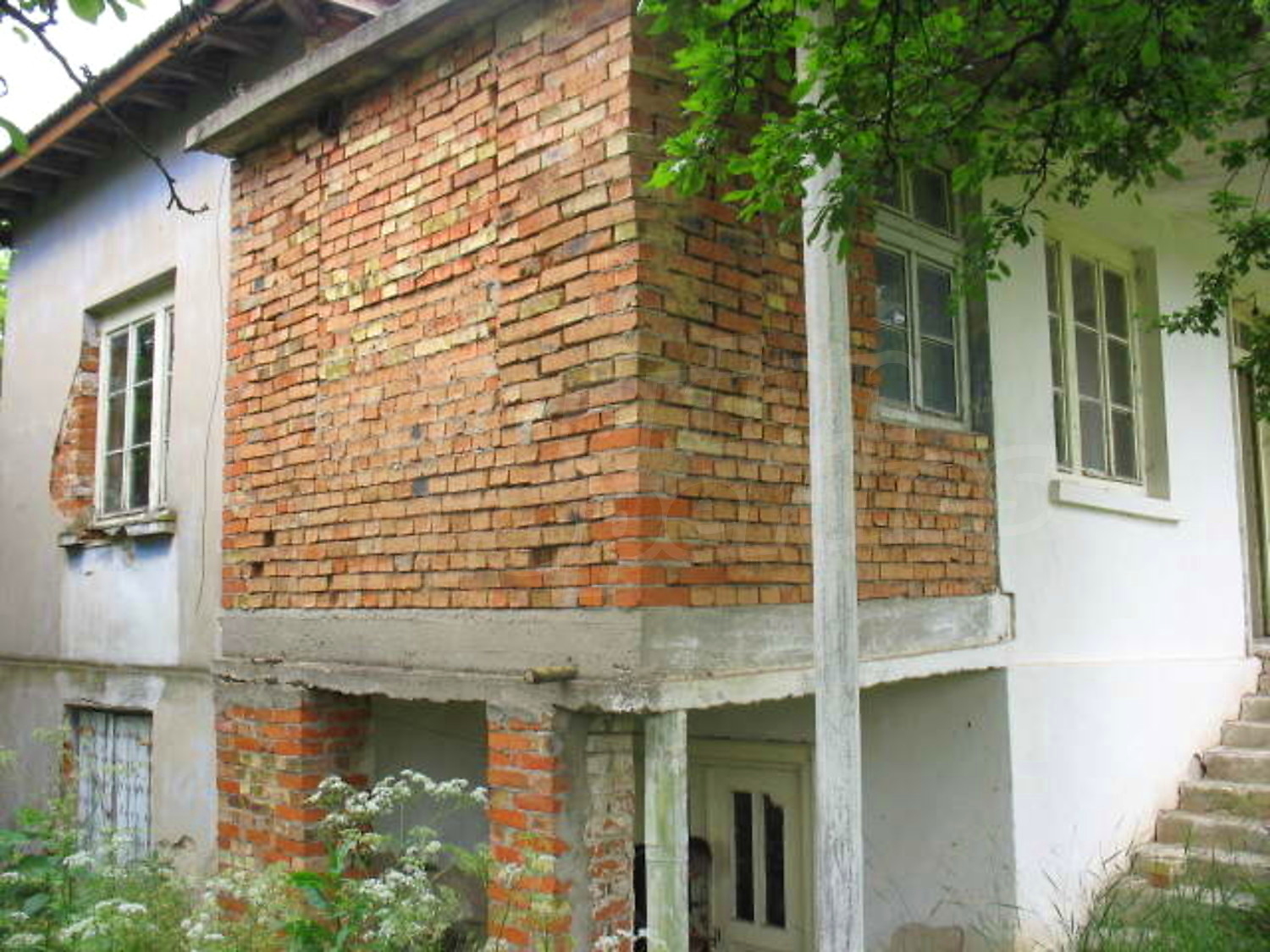Gallery Picture 13
