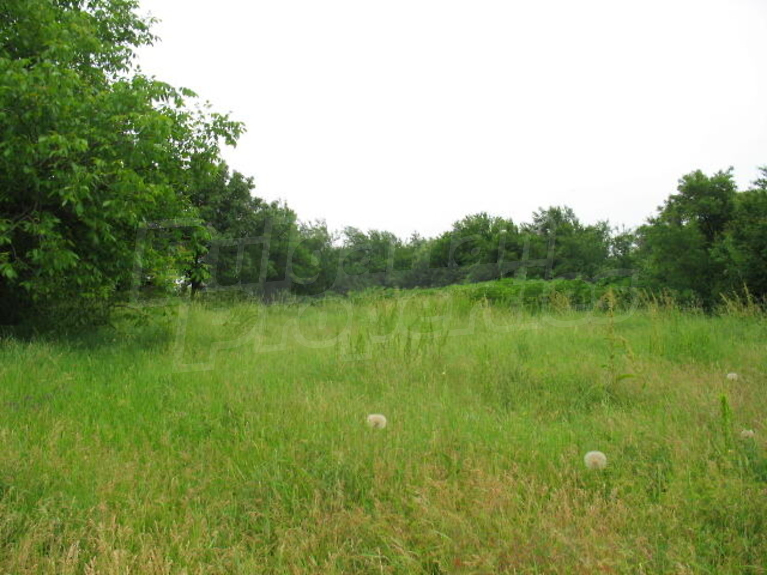 Gallery Picture 14